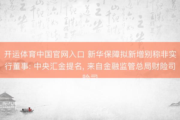 开运体育中国官网入口 新华保障拟新增别称非实行董事: 中央汇金提名， 来自金融监管总局财险司