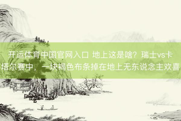 开运体育中国官网入口 地上这是啥？瑞士vs卡塔尔赛中，<a href=
